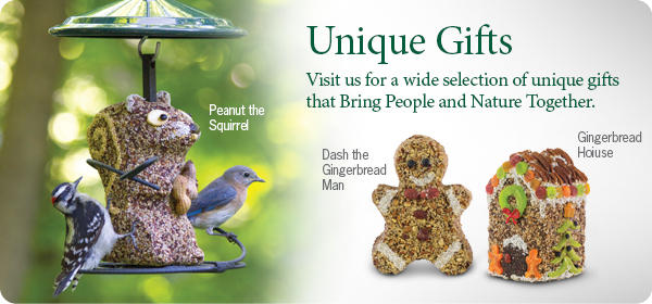 Give the Gift of Bird Feeding